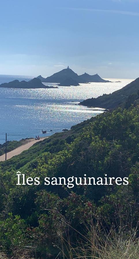 Magnifique Vue Mer, Spacieux Et Traversant Apartment *
